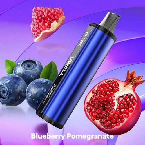 Blueberry Pomegranate – UWELL DP6000
