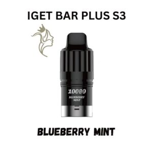 Blueberry Mint – IGET BAR Plus S3 – Pod Only